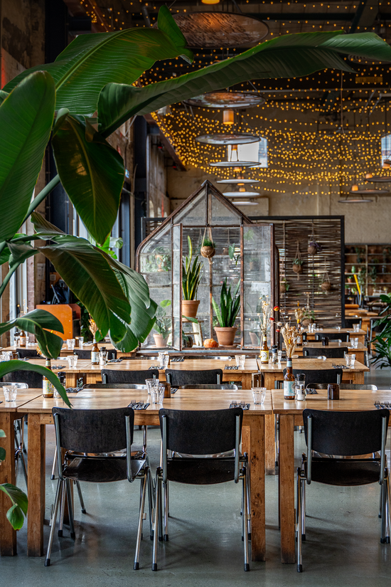 Hét restaurant voor groepen in AmsterdamNoord Lowlander Botanical Bar & Restaurant